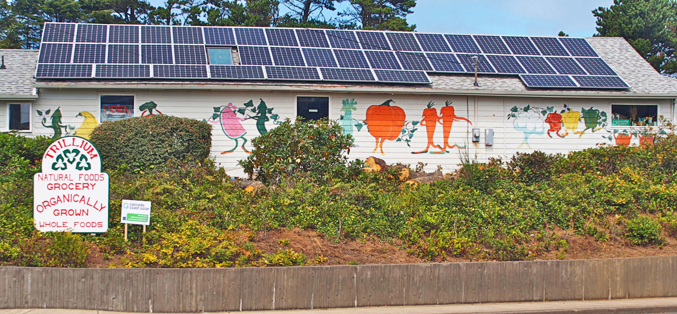 trillium__smIMG_1437